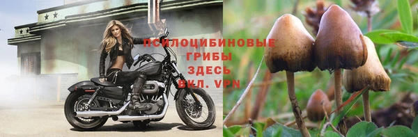 2c-b Баксан