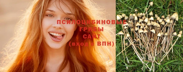 2c-b Баксан