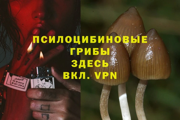 мдпв Балахна