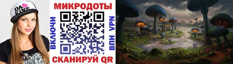 Галлюциногенные грибы Cubensis  Городище 